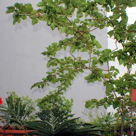 סלרנו B&B Lili מראה חיצוני תמונה